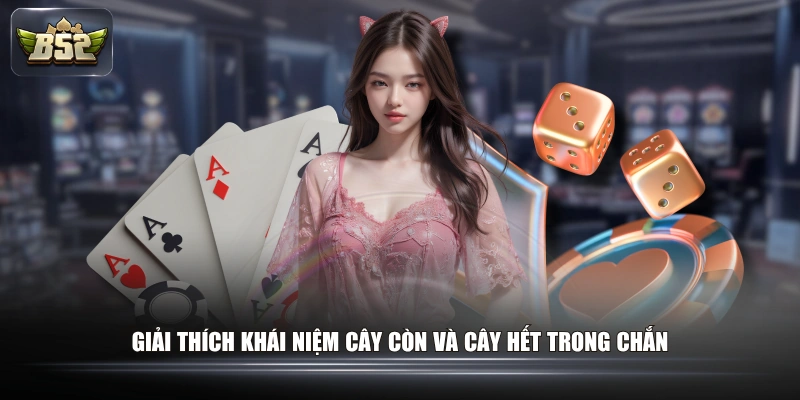 Giải thích khái niệm cây còn và cây hết trong chắn